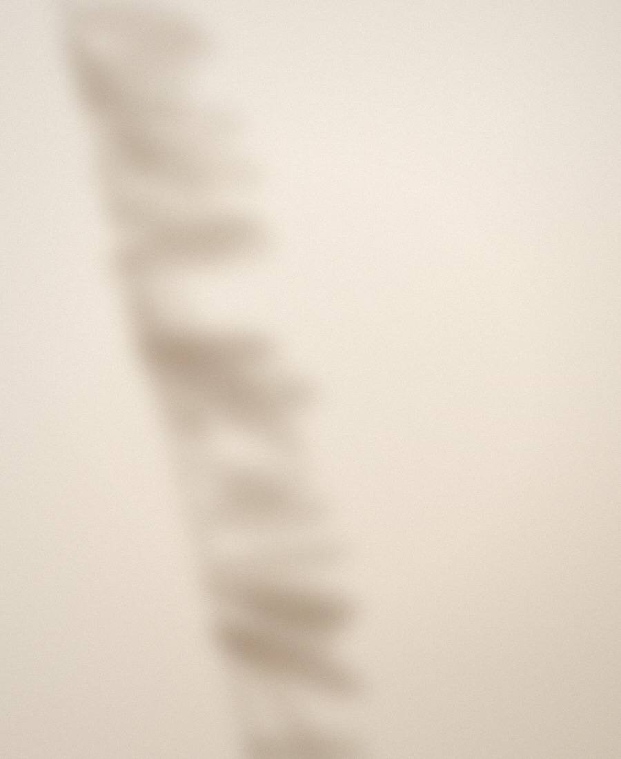 Illustrative sample image for a fictional website concept: the soft shadow of leaves falling across a warm plaster wall.